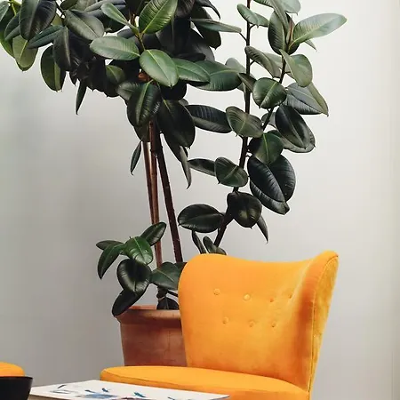 ذا بانك أمستردام